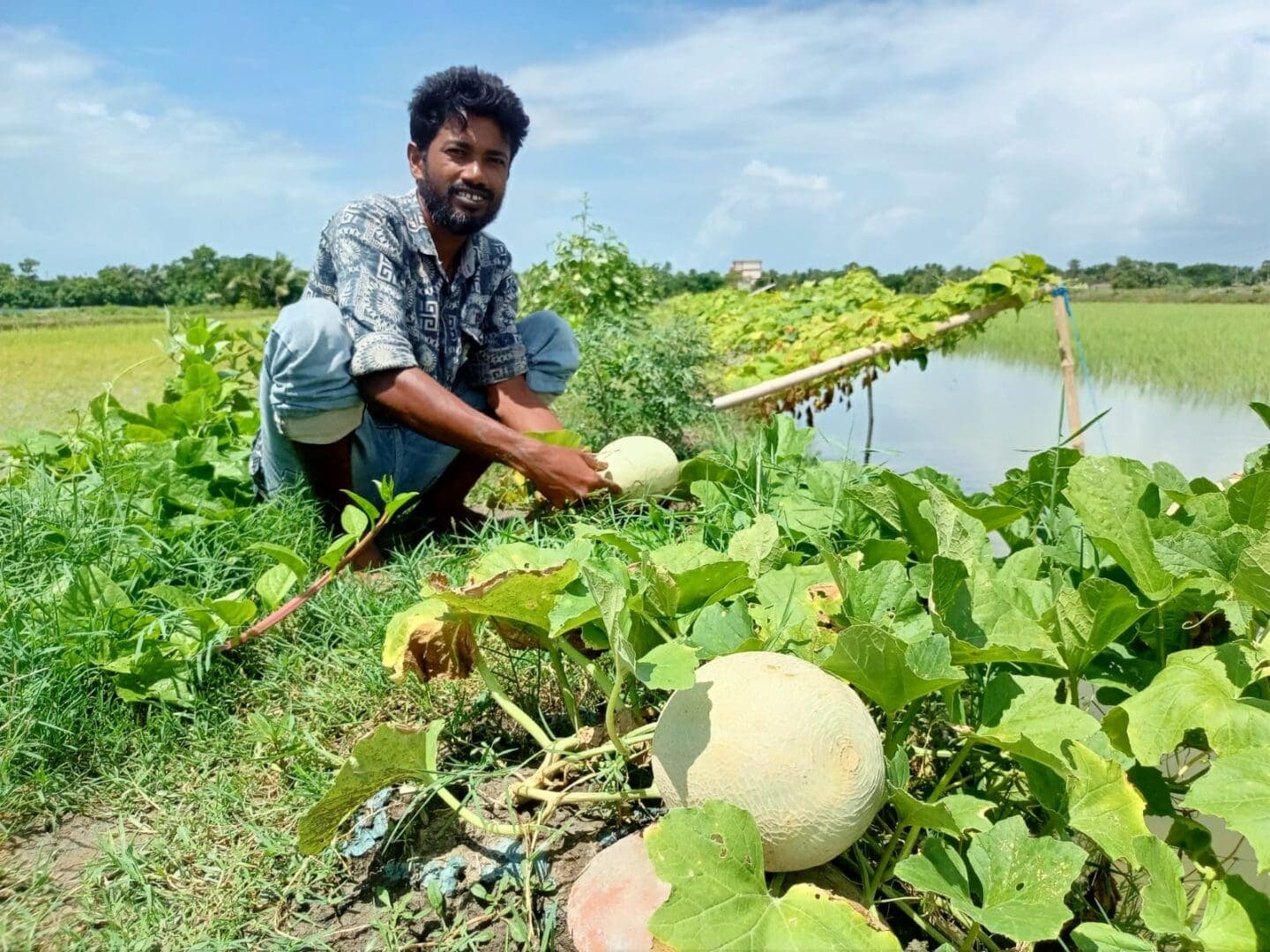 Blog: A ragged end to COP30...